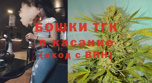 индика Абдулино