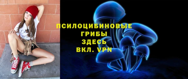 индика Абдулино