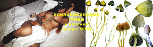 индика Абдулино