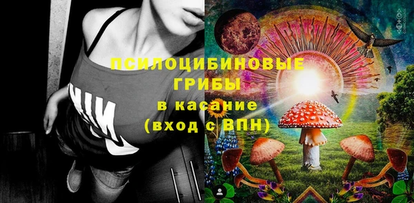 индика Абдулино
