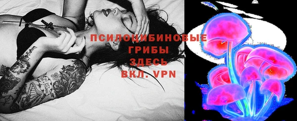 индика Абдулино